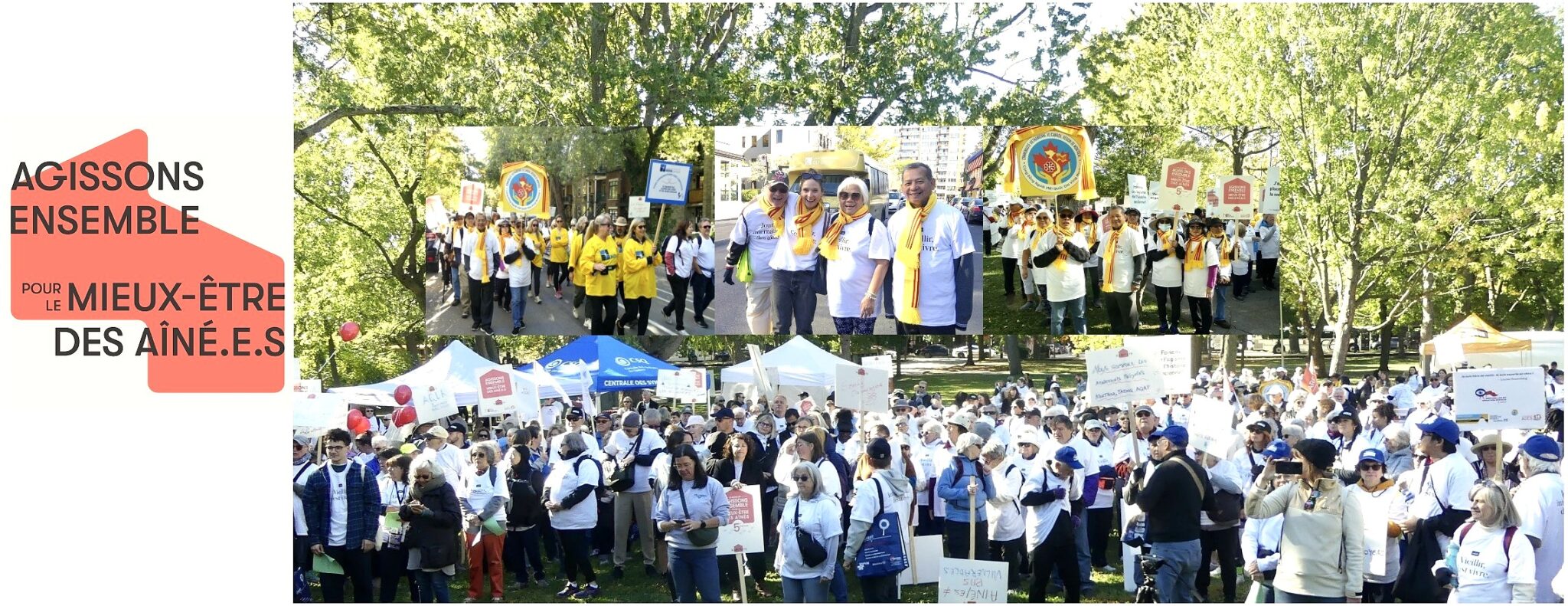 ĐI BỘ VÌ LỢI ÍCH NGƯỜI CAO NIÊN 1/10/2025